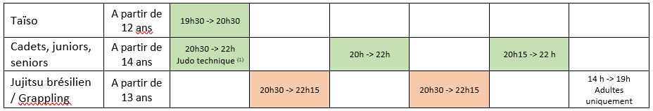 Horaires VSJ Arts Martiaux 2025 -2026 Adultes
